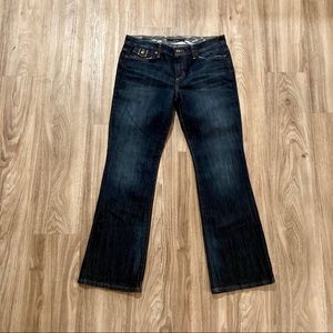 Joe’s Jeans size 29 Provacateur